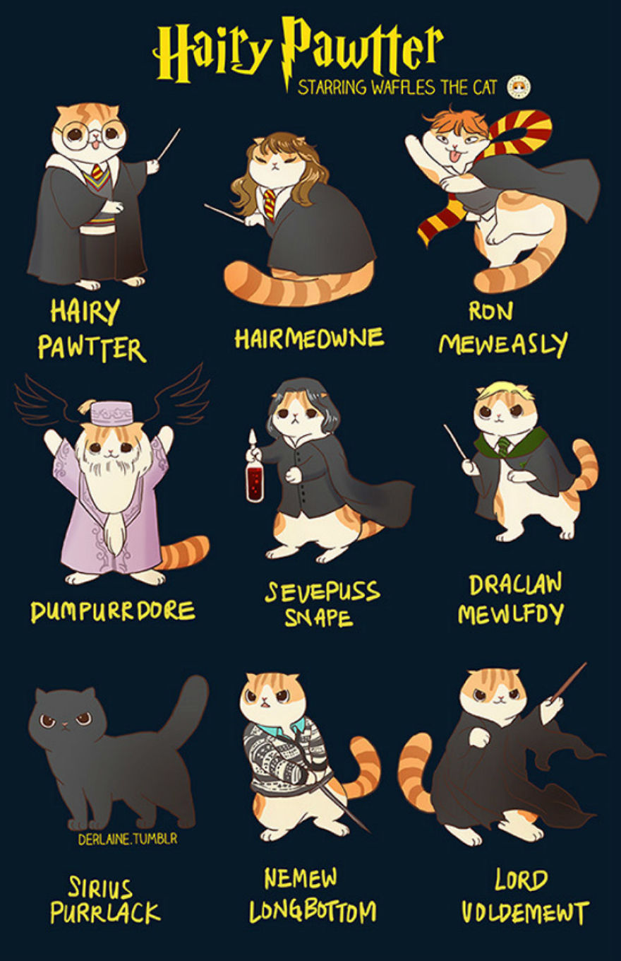 Khi các nhân vật nổi tiếng biến hóa thành mèo ú: Harry Potter hay công chúa Disney đều dễ thương miễn bàn - Ảnh 1.