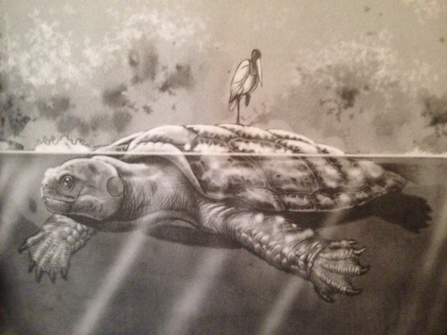 Cứ ngỡ cụ rùa Tây Du Ký là tưởng tượng, hóa ra bản real dài 5m từng sống trên Trái đất - Ảnh 4.