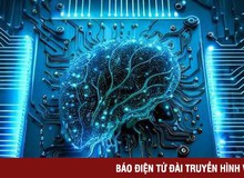 Nghiên cứu hợp nhất tế bào não người với AI