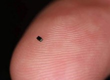 Xuất hiện camera nhỏ nhất thế giới, chỉ bằng một hạt muối