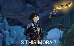 Mora bất ngờ trở thành chỉ số bí ẩn nhất Genshin Impact, khiến game thủ quốc tế "lú lẫn"