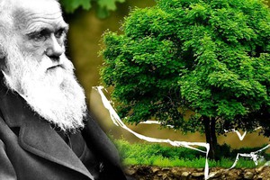 Thuyết tiến hóa do Darwin đề xuất có thực sự đáng tin?