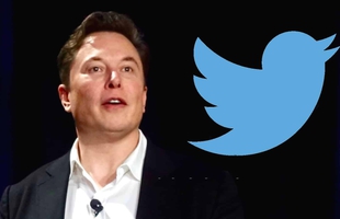 Elon Musk lên nắm quyền, Twitter Gaming gần như dừng hoạt động
