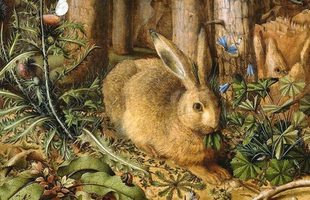 Hình tượng loài thỏ trong nền văn hóa thế giới: Đại diện cho sự nhanh nhẹn, tham vọng và đặc biệt liên quan đến mặt trăng