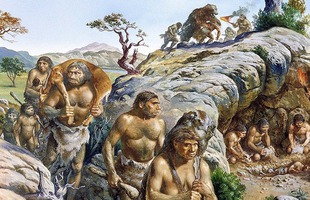 Thảm họa thiên nhiên 2,5 triệu năm trước đã thay đổi sự tiến hóa của nhân loại như thế nào?