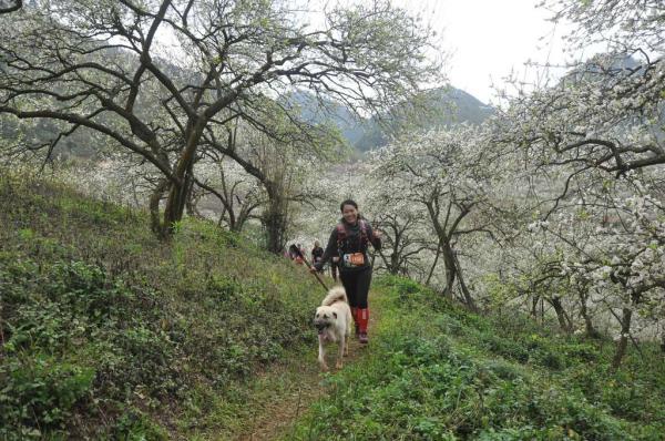 Ham hố thi thố chạy theo đoàn marathon suốt 42km, chú chó khiến chủ nhân phải mất 300k bắt taxi đón về - Ảnh 2.