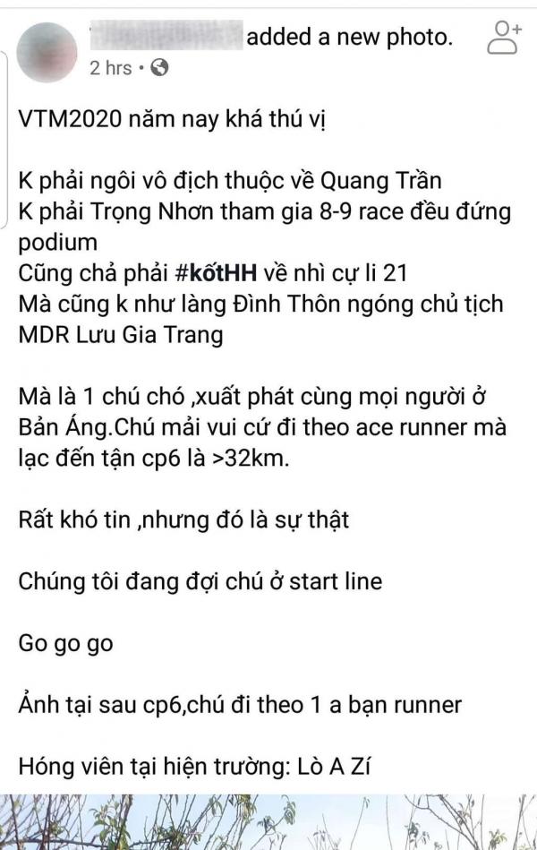 Ham hố thi thố chạy theo đoàn marathon suốt 42km, chú chó khiến chủ nhân phải mất 300k bắt taxi đón về - Ảnh 7.