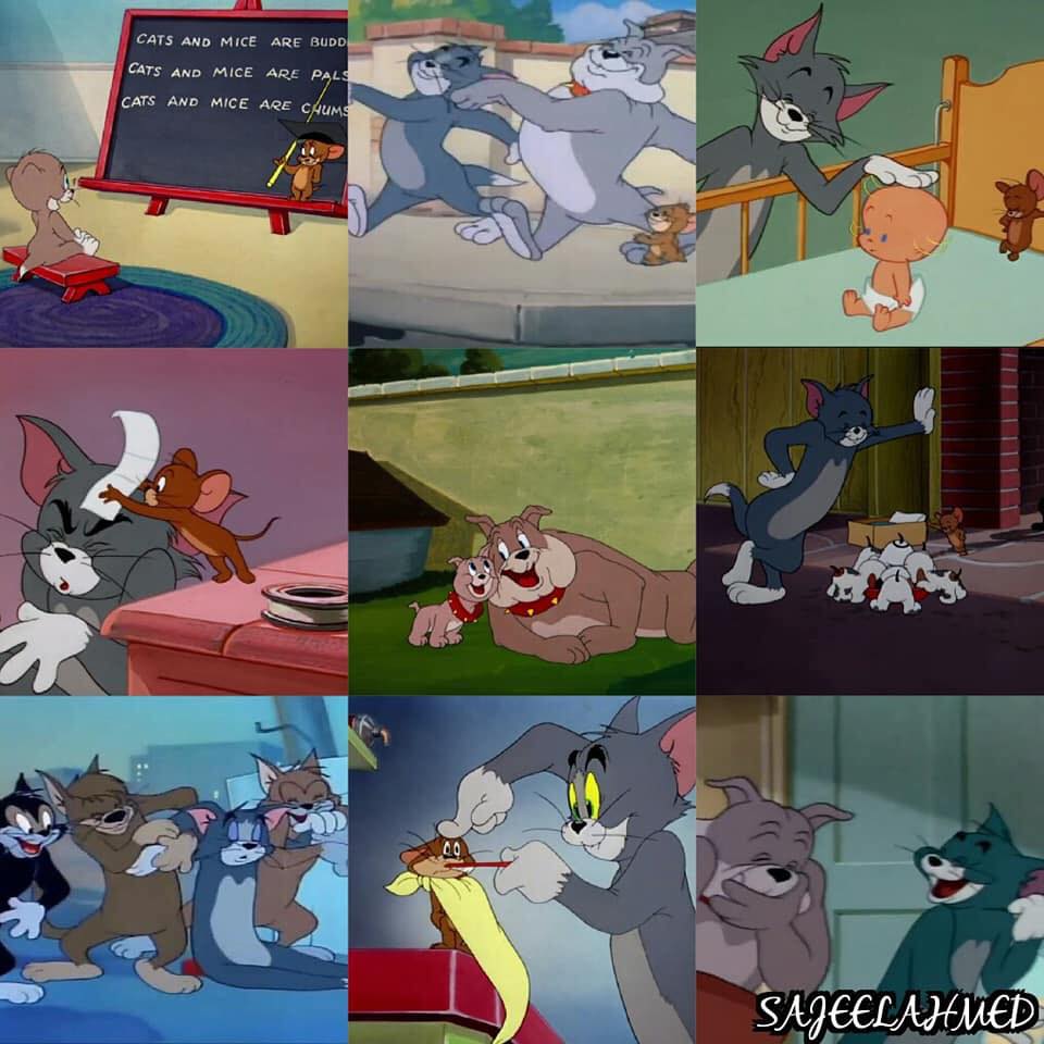 Tom & Jerry: Những bài học cuộc sống đằng sau cuộc chiến giữa mèo ...