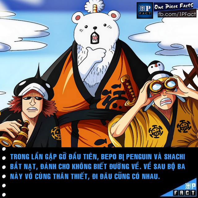 Đầu năm mới, cùng nhìn lại 20 fun facts thú vị trong truyện tranh One Piece - Ảnh 2.