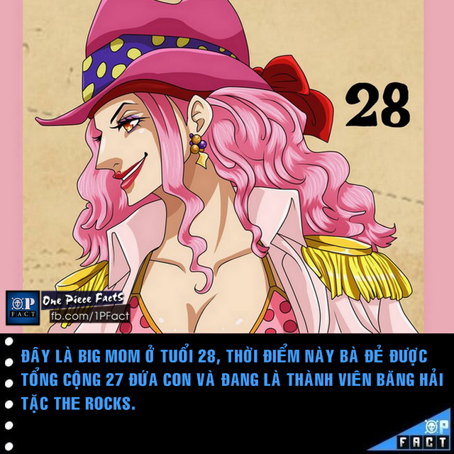 Đầu năm mới, cùng nhìn lại 20 fun facts thú vị trong truyện tranh One Piece - Ảnh 3.