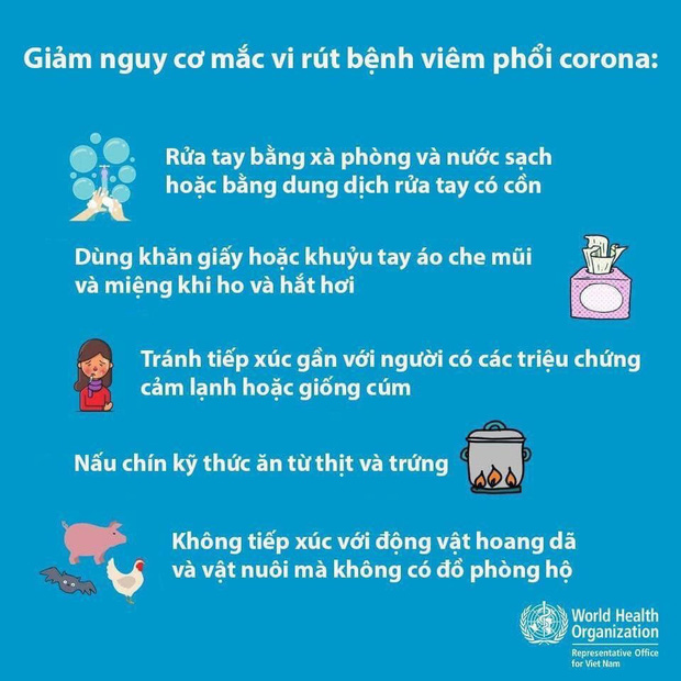 2 bố con người Trung Quốc nhiễm virus corona đã đi qua bao nhiêu tỉnh thành ở Việt Nam? - Ảnh 4.