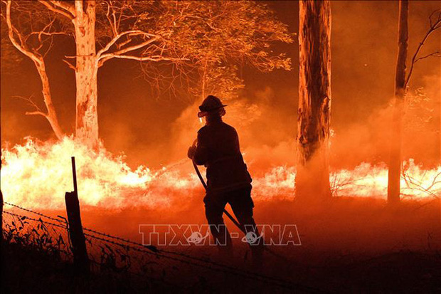 Tranh cãi nảy lửa: Sau tin Thor quyên góp 23 tỷ vì thảm họa cháy rừng Úc, loạt sao bỗng bị chỉ trích gay gắt - Ảnh 8.