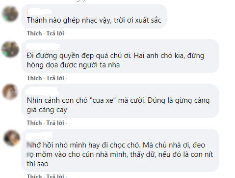 Bị chó dữ đuổi, người đàn ông bình tĩnh biểu diễn đường quyền, dọa đối thủ run sợ cụp đuôi bỏ chạy - Ảnh 4.