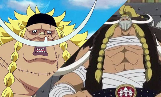 One Piece: Tin được không, Jack mới chính là đứa con trai của Râu Trắng? (P1) - Ảnh 1.