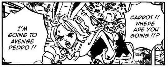 One Piece Một số thông tin có thể bạn sẽ bỏ lỡ khi xem chap 992 (P1) - Ảnh 3.