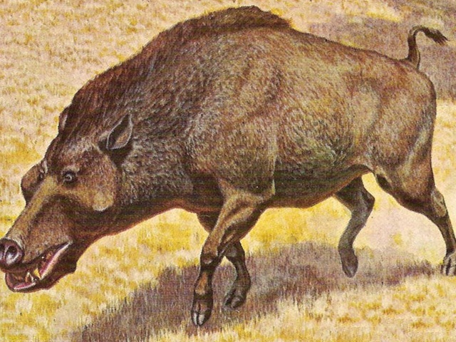 Rùng rợn truyền thuyết về ‘Lợn địa ngục’, quái vật có thực từng xuất hiện tại Bắc Mỹ - Ảnh 5.