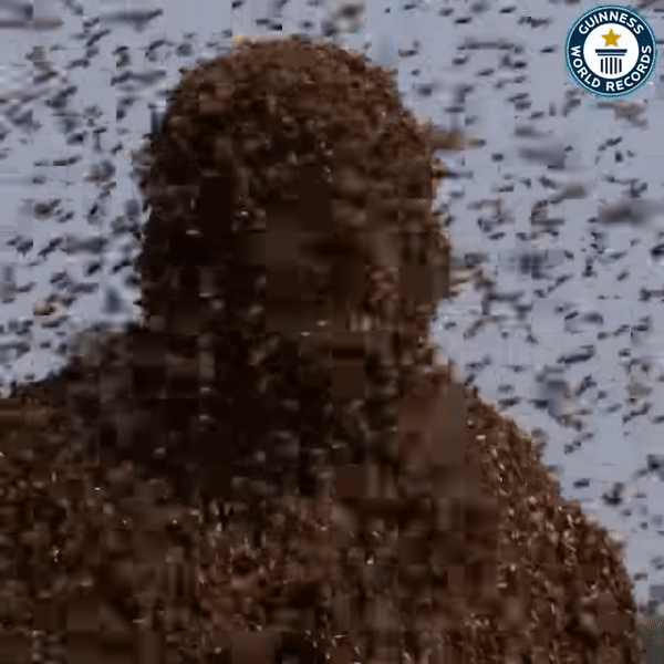Kỷ lục Guinness đăng video siêu dị về người ong đạt hơn 5 triệu lượt xem sau vài giờ, dân mạng xem xong cũng gai hết cả người - Ảnh 1.