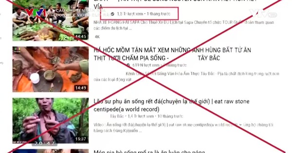 NTN xuất hiện trên phóng sự VTV, được khen ngợi vì sự thay đổi, Hưng Vlog tiếp tục bị ném đá - Ảnh 1.