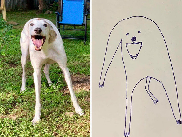 Cách vẽ chú chó Corgi  Vẽ Từng Nét Nhỏ