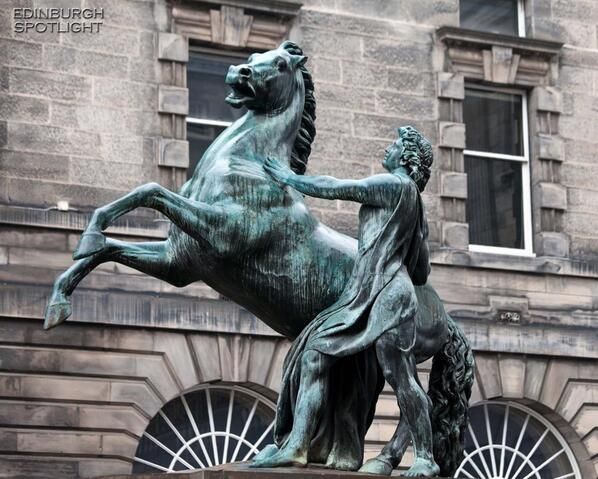 Những chiến mã nổi tiếng thế giới: Có cả loài ngựa giúp Napoleon đánh bại cả châu Âu - Ảnh 6.