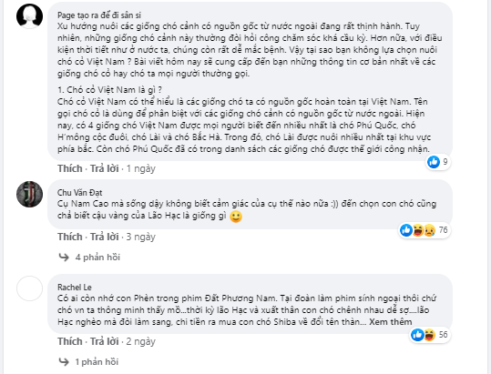 Vừa xuất hiện, hình ảnh Cậu Vàng khiến dân mạng tranh cãi: Trông không có vẻ gì đói nghèo, khổ sở - Ảnh 6.