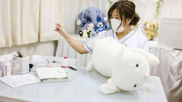 Độc lạ phòng khám chữa bệnh cho... thú nhồi bông ở Nhật, viện phí có thể lên đến 111 triệu - Ảnh 5.