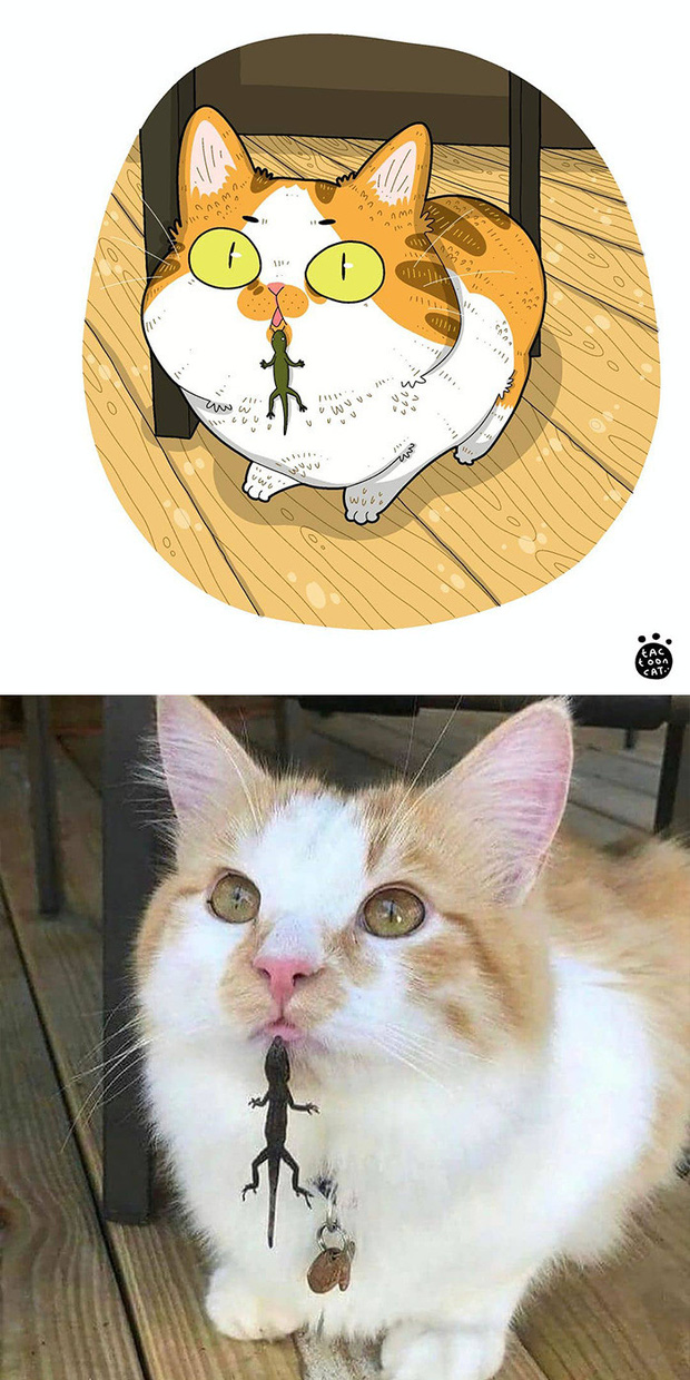 Khi những chú mèo meme được họa lại theo phong cách hoạt hình siêu cute, đốn tim từ ảnh đầu luôn - Ảnh 13.