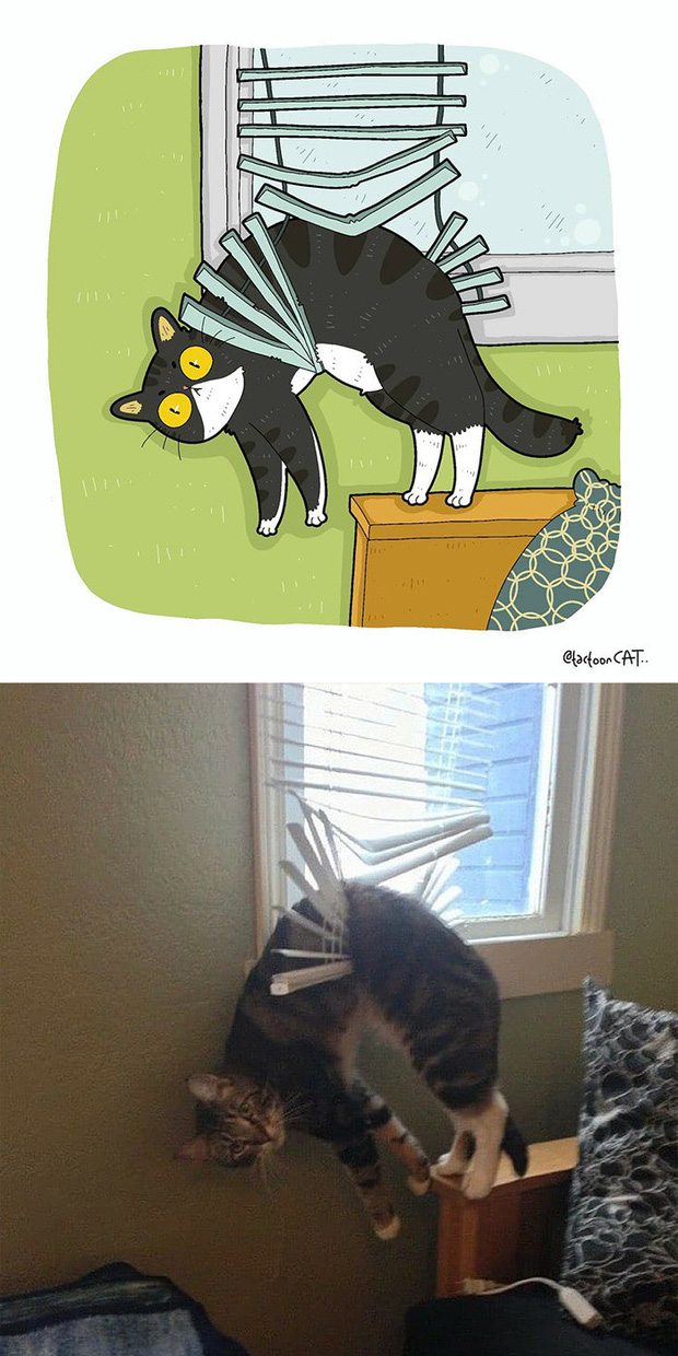 Khi những chú mèo meme được họa lại theo phong cách hoạt hình siêu cute, đốn tim từ ảnh đầu luôn - Ảnh 6.