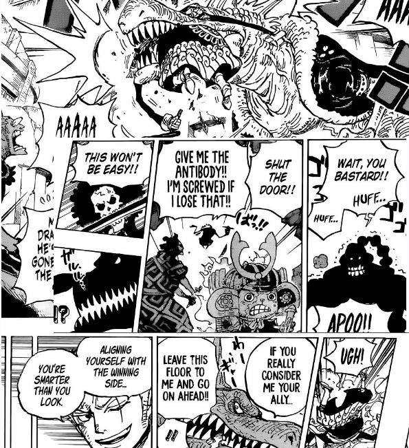 Soi mói One Piece: Những chi tiết thâm thuý mà Oda cài cắm trong chap 998 (P1) - Ảnh 4.
