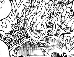 Soi mói One Piece: Những chi tiết thâm thuý mà Oda cài cắm trong chap 998 (P2) - Ảnh 8.