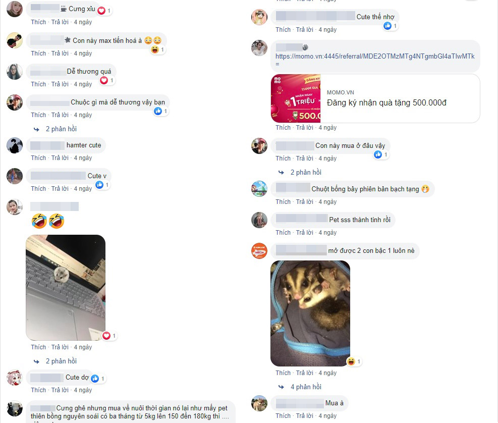 Khoe Pet siêu cấp SSSS phong cách “xàm”, chàng trai không những không bị “gạch đá” mà còn được khen… dễ thương - Ảnh 7. Khoe Pet siêu cấp SSSS phong cách “xàm”, chàng trai không những không bị “gạch đá” mà còn được khen… dễ thương - Ảnh 7.