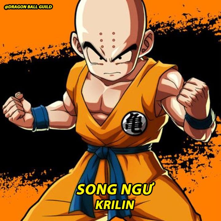 Bạn là ai trong Dragon Ball theo tính cách của 12 cung hoàng đạo? - Ảnh 12.
