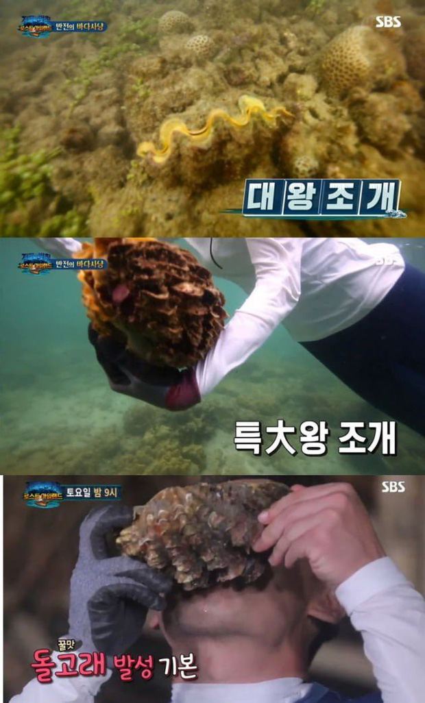 Giữa đại dịch corona: Loạt sao Hoa - Hàn gánh hậu quả lớn vì lộ clip ăn thịt động vật hoang dã - Ảnh 9.