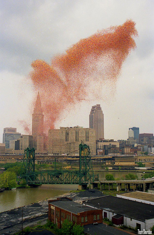 Lễ hội Balloonfest’ 86: Thảm họa bóng bay đầy kỳ lạ đi vào lịch sử nước Mỹ - Ảnh 3.
