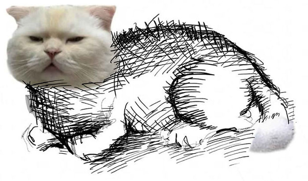 Nếu bạn đang muốn vẽ một con mèo theo mẫu nhưng chưa biết bắt đầu từ đâu, hãy xem ảnh vẽ này. Hướng dẫn chi tiết cho phép bạn vẽ một con mèo hoàn hảo ngay tức khắc.