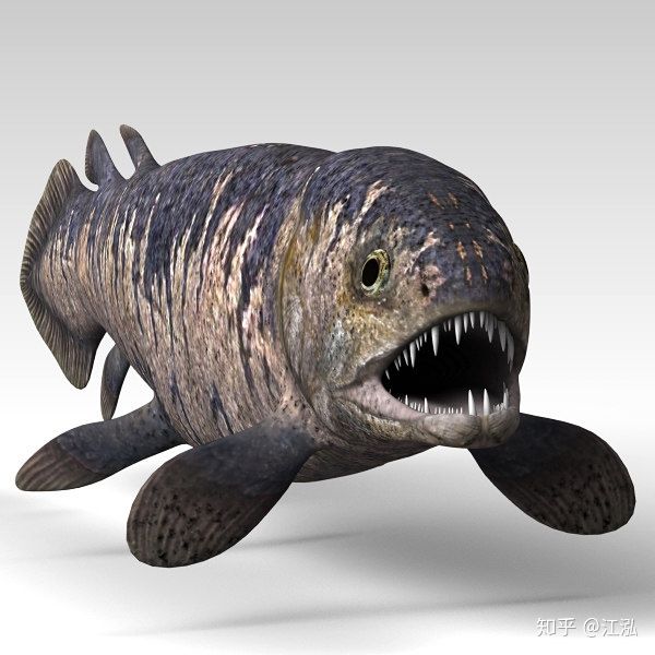 Rhizodus Hibberti: Loài cá quái vật thời tiền sử, sinh vật bá chủ vùng nước ngọt - Ảnh 2.