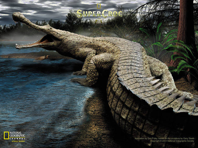 Top 10 loài khủng long ăn thịt nguy hiểm nhất thời tiền sử - Ảnh 4.
