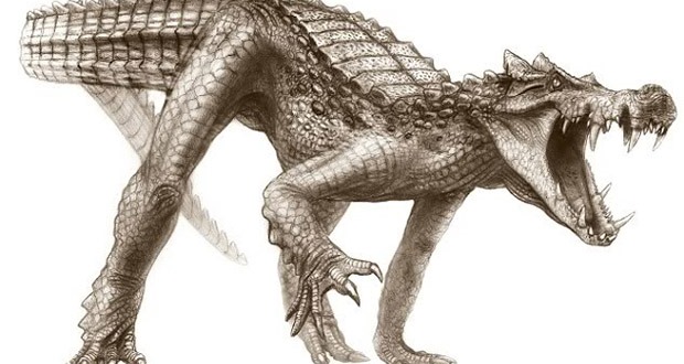 Top 10 sinh vật siêu khổng lồ thời tiền sử dễ bị nhầm thành khủng long - Ảnh 2.