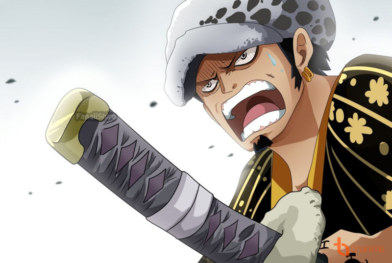 Tổng hợp những hình ảnh đẹp nhất One Piece  One Piece avatar Law   Tashigi  Wattpad