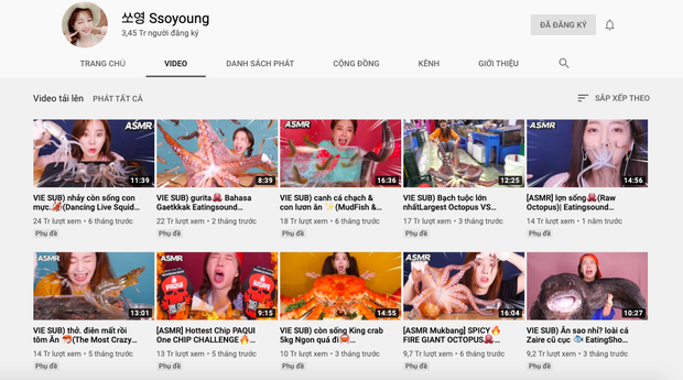 “Thánh ăn Hàn Quốc” Ssoyoung khiến nhiều YouTuber nổi tiếng phẫn nộ vì hành hạ động vật sống, có người còn yêu cầu cô xoá luôn kênh 3,45tr subscribes - Ảnh 2.