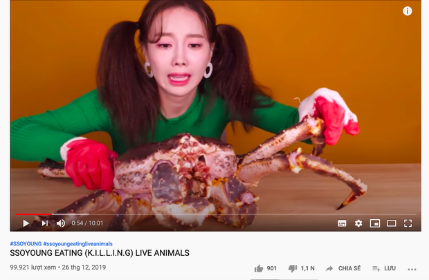 “Thánh ăn Hàn Quốc” Ssoyoung khiến nhiều YouTuber nổi tiếng phẫn nộ vì hành hạ động vật sống, có người còn yêu cầu cô xoá luôn kênh 3,45tr subscribes - Ảnh 14.