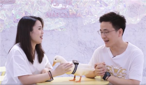 Huawei bất ngờ thông báo đã phát triển thành công “máy dịch ngôn ngữ động vật” - Ảnh 4.