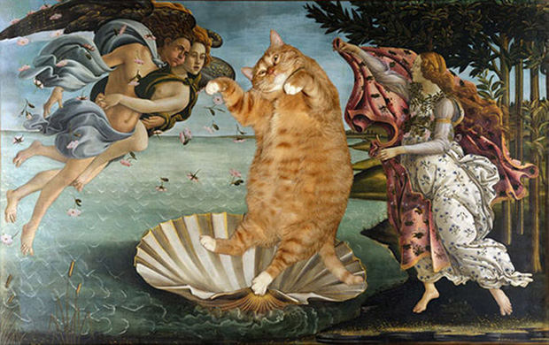 Chết cười loạt ảnh chế mèo béo trở thành nàng thơ trong các bức họa nổi tiếng - Ảnh 5.