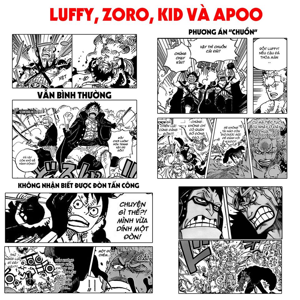 One Piece 980: Vì Sao Luffy Và Zoro Gặp Khó Trước Đòn Tấn Công Của Apoo,  Liệu Oda Có 