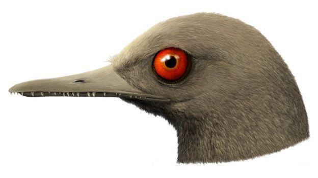 Phát hiện loài khủng long ăn thịt có kích cỡ nhỏ nhất trên Trái Đất, còn bé hơn cả một con chim ruồi - Ảnh 5.