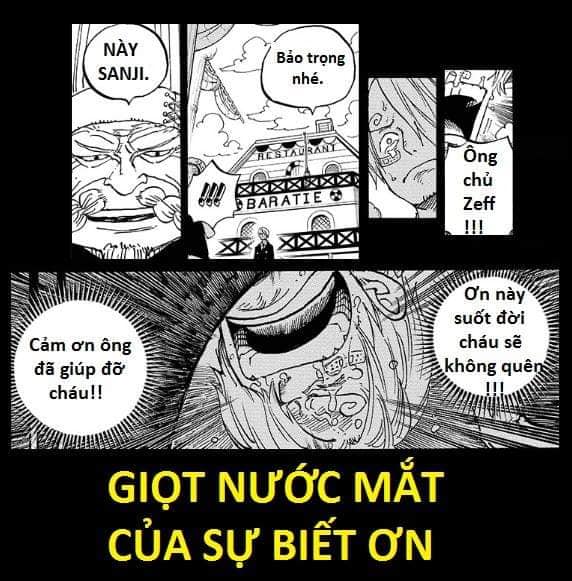 One Piece: Xúc động khi nhìn lại những lần rơi lệ của băng Mũ Rơm, có những khoảnh khắc khiến fan không cầm được nước mắt - Ảnh 13.