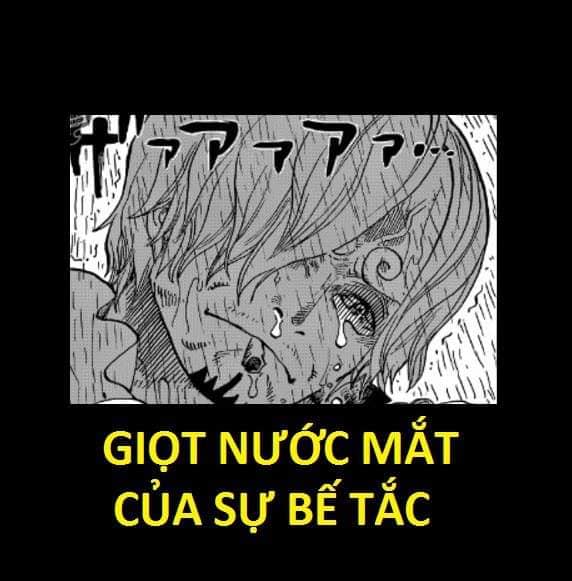 One Piece: Xúc động khi nhìn lại những lần rơi lệ của băng Mũ Rơm, có những khoảnh khắc khiến fan không cầm được nước mắt - Ảnh 14.