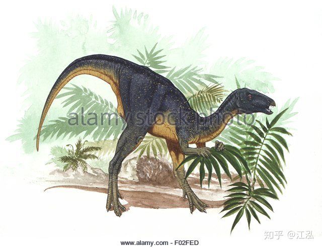 Úc phát hiện ra hóa thạch khủng long biến thành đá quý - Ảnh 13.