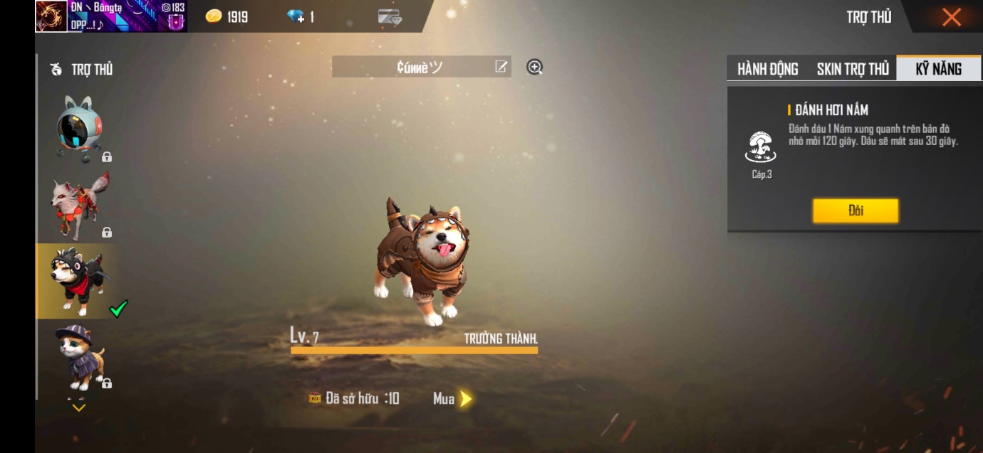 10 bé thú cưng giúp bạn giành được nhiều Booyah! hơn trong Free Fire - Ảnh 7. 10 bé thú cưng giúp bạn giành được nhiều Booyah! hơn trong Free Fire - Ảnh 7.