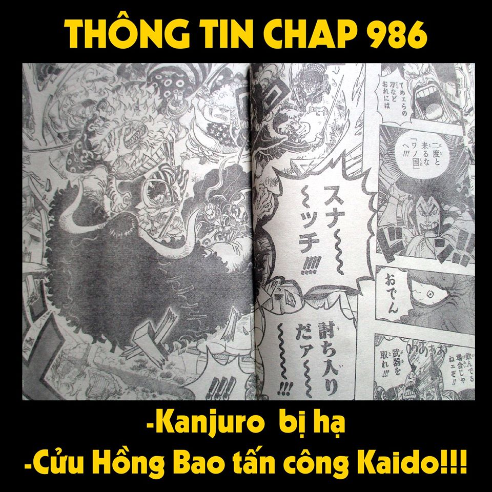 Spoiler One Piece chap 986: Cửu Hồng Bao tấn công hội đồng Kaido, Yamato bật khóc - Ảnh 1.